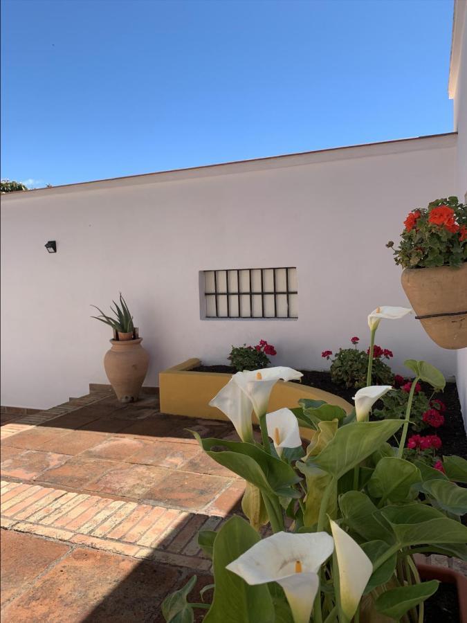 Encantador Apartamento-Centrico-Con Amplio Jardin Torremolinos Exterior foto