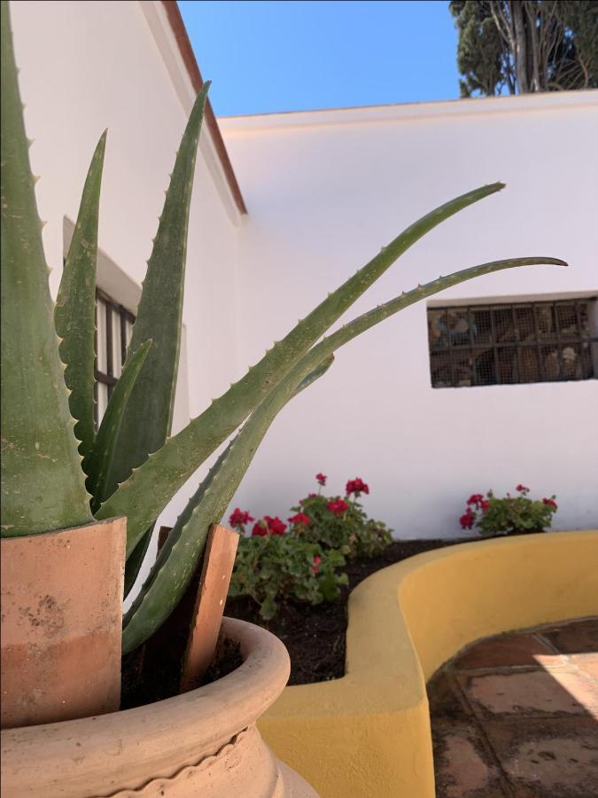 Encantador Apartamento-Centrico-Con Amplio Jardin Torremolinos Exterior foto